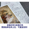 【四条屏】工笔画白描底稿鹦鹉临摹勾线花鸟线稿TP03 商品缩略图3