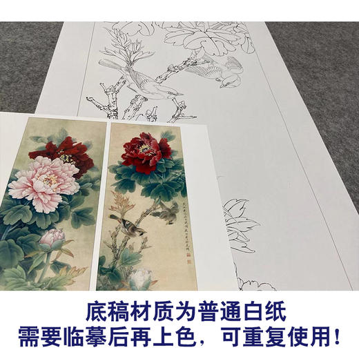 【四条屏】李晓明工笔画白描底稿牡丹临摹勾线花鸟线稿KA34 商品图3