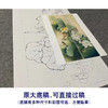 【四条屏】李晓明工笔画白描底稿荷花临摹勾线花鸟线稿选KA33 商品缩略图1