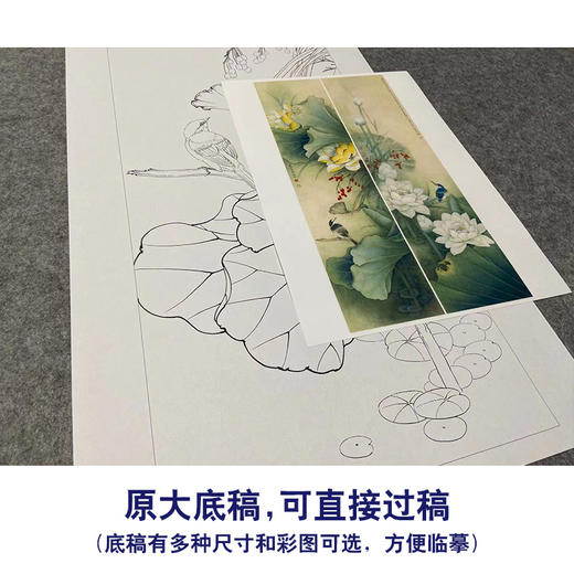【四条屏】李晓明工笔画白描底稿荷花临摹勾线花鸟线稿选KA33 商品图1