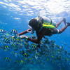 海南三亚·亚龙湾西排远海潜水一日游(纯玩2人精致小团+专属司导+一龄接送） 商品缩略图2