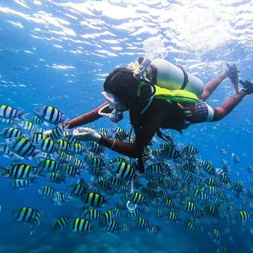 海南三亚·亚龙湾西排远海潜水一日游(纯玩2人精致小团+专属司导+一龄接送） 商品图2