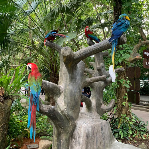 海南三亚·呀诺达雨林天然氧吧一日游(纯玩2人精致小团+专属司导+一龄接送） 商品图2