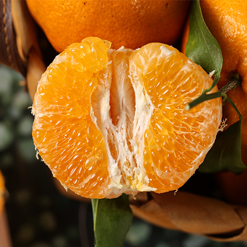 【四川.春见耙耙柑】当季鲜果，轻松易剥皮，果肉脆嫩，香甜多汁，细腻化渣，简单好吃，营养美味~