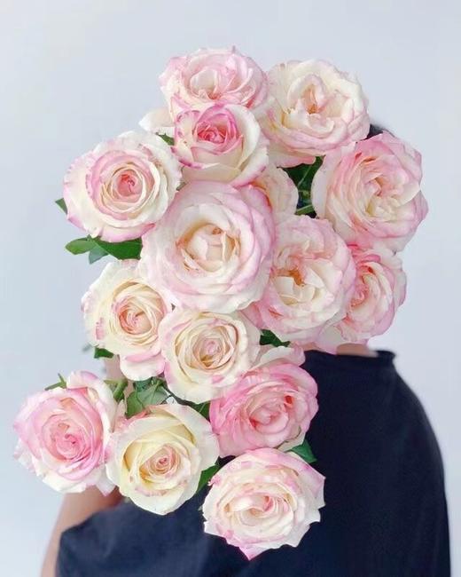 霓裳玫瑰【一曲霓裳尽，天涯同归永不离】简小姐精选 新品 玫瑰霓裳9+1枝(防花损）2件包邮 下单后3天内发货 商品图1