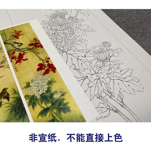 【四条屏】李晓明工笔花鸟画白描底稿《花开四时》临摹勾线花鸟线稿KA31 商品图2