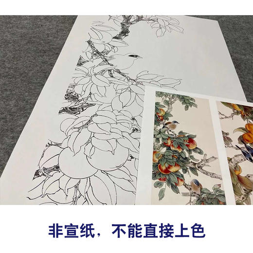 【四条屏】陈军工笔画白描底稿桃花桃枝柿子临摹勾线花鸟线稿CJ66 商品图2