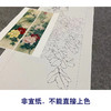 【四条屏】李晓明工笔画白描底稿牡丹临摹勾线花鸟线稿KA34 商品缩略图2