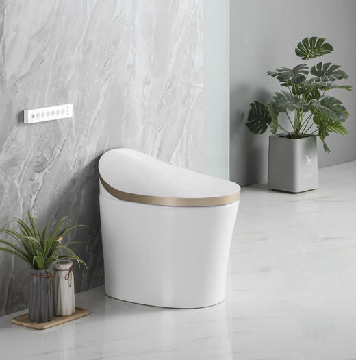 2103S金边半智能(脚感冲水)脉冲马桶 商品图1