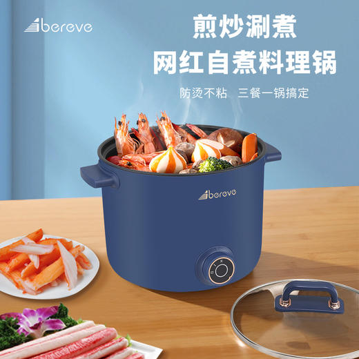 艾贝丽 | 电煮锅ABL-DZG07小家电 商品图0