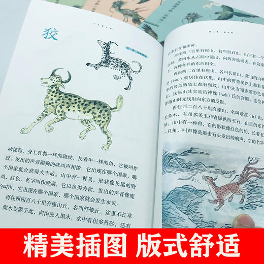 【6-12岁】《少年观山海（全5册）》【6.25-6.30】 商品图3