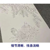 【四条屏】周中耀工笔画白描底稿牵牛花临摹勾线花鸟线稿TP33 商品缩略图4
