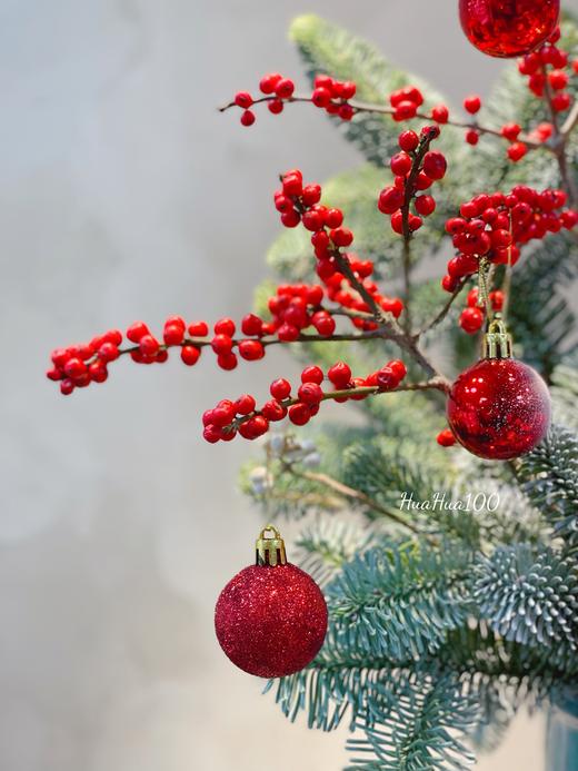 圣诞礼丨圣诞设计款插花冬青松枝棉花 商品图4