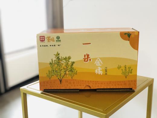 【严选】一米金橘415g/盒（厂家直发） 商品图0