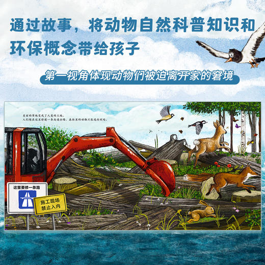 【直播专享·3岁+】德国环保科普绘本（小蜜蜂+小海豹）（共2册） 商品图3