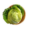 新品种 皱叶甘蓝 叶子皱似白菜 甘蓝口感 适合清炒  口感清脆 400g 商品缩略图1