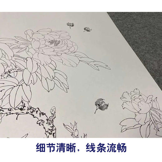 【四条屏】王少卿工笔画白描底稿牡丹蝴蝶临摹勾线花鸟线稿WK18 商品图4
