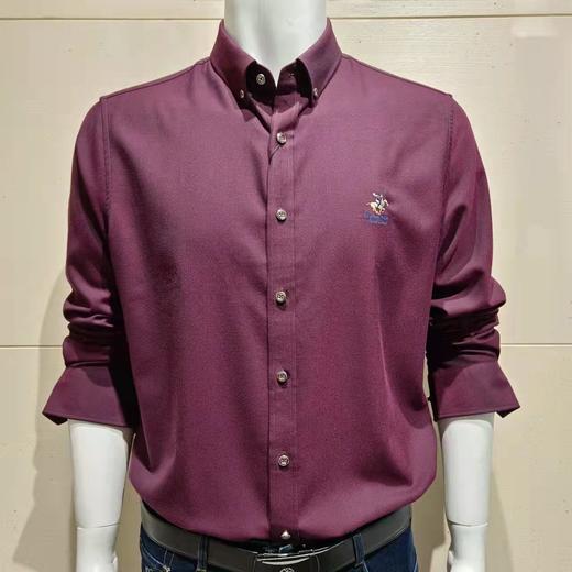 6F BEVERLY HILLS POLO CLUB 比华利保罗衬衫 商品图0