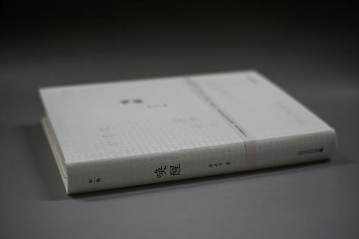 【“云端书展”专区】唤醒     冉正万  著      商品图3
