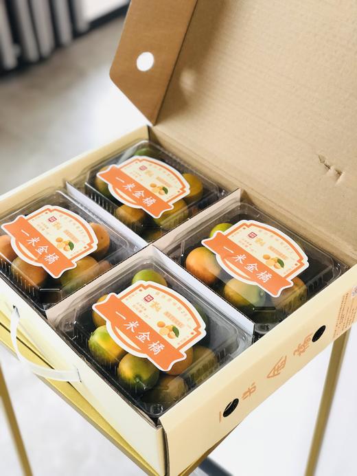 【严选】一米金橘415g/盒（厂家直发） 商品图1