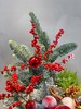 圣诞礼丨圣诞设计款插花冬青松枝棉花 商品缩略图5