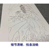 【四条屏】工笔画白描底稿荷花临摹勾线花鸟线稿TP08 商品缩略图4