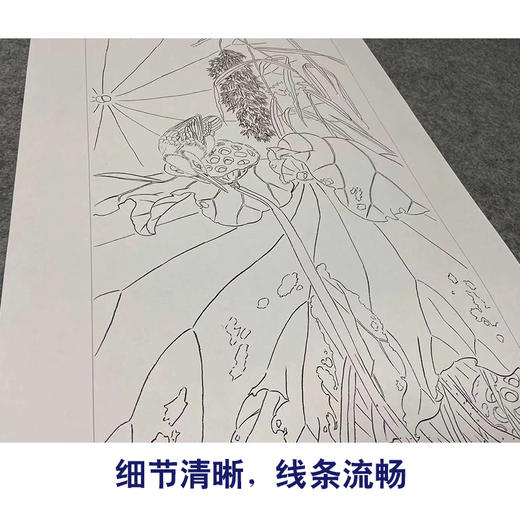【四条屏】工笔画白描底稿荷花临摹勾线花鸟线稿TP08 商品图4