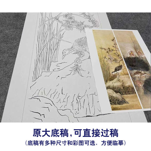 【四条屏】工笔画白描底稿荷花苍鹭临摹勾线花鸟线稿TP06 商品图1