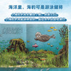 【直播专享·3岁+】德国环保科普绘本（小蜜蜂+小海豹）（共2册） 商品缩略图2