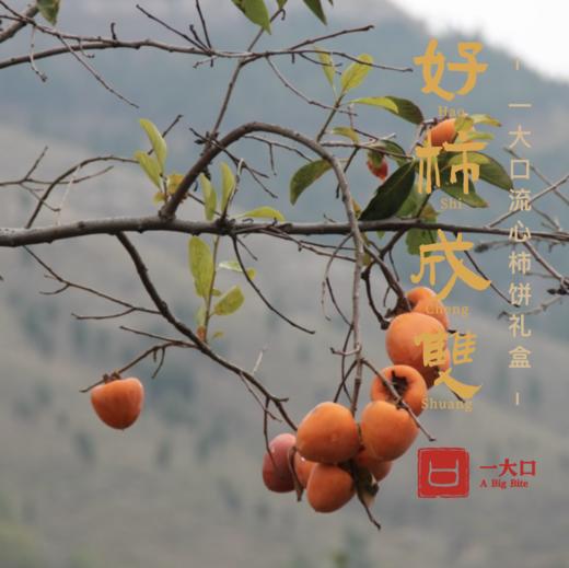 【好柿来啦】出口日本的流心柿饼礼盒 清丽灵动柿香浓| 一大口定制 商品图9