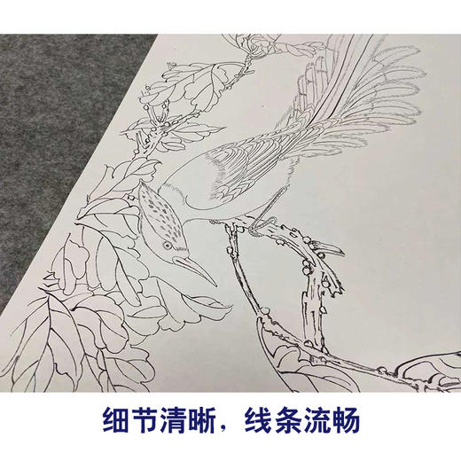 【四条屏】于非闇工笔画白描底稿《长春有喜》荷花梅花临摹勾线花鸟线稿YF89 商品图4