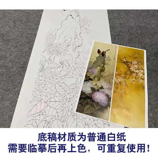 【四条屏】周中耀工笔画白描底稿梅花菊花临摹勾线花鸟线稿TP31 商品图3