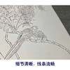 【四条屏】工笔画白描底稿鹦鹉临摹勾线花鸟线稿TP07 商品缩略图4