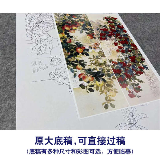 【四条屏】王庆升工笔画白描底稿《硕果满园》葡萄临摹勾线花鸟线稿TP37 商品图1