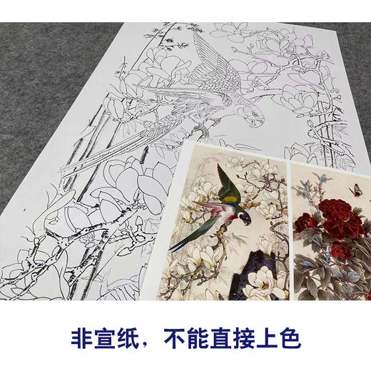 【四条屏】王庆升工笔画白描底稿《春花集锦》牡丹锦鸡临摹勾线花鸟线稿TP36 商品图2