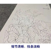 【四条屏】金鸿钧工笔画白描稿花鸟《花香永存》牡丹梅花临摹勾线花鸟线稿TP34 商品缩略图4