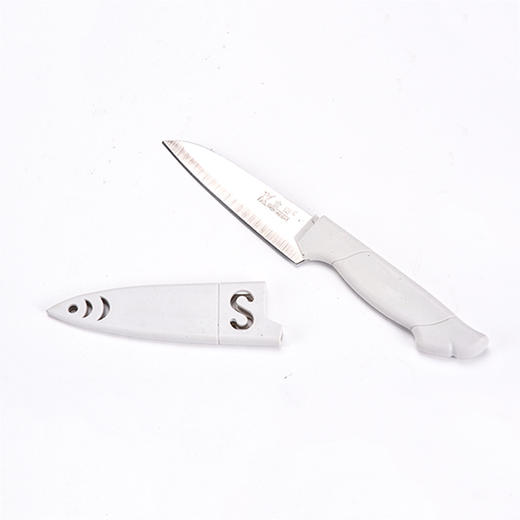 战狮 烧烤小刀 ZSPJ-2222 商品图1