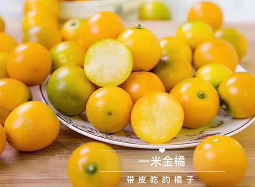 【严选】一米金橘415g/盒（厂家直发） 商品图4