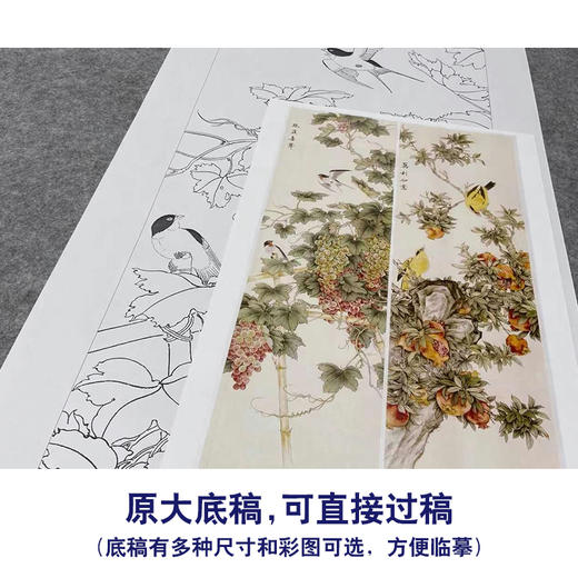 【四条屏】工笔画白描底稿石榴葡萄临摹勾线花鸟线稿TP15 商品图1