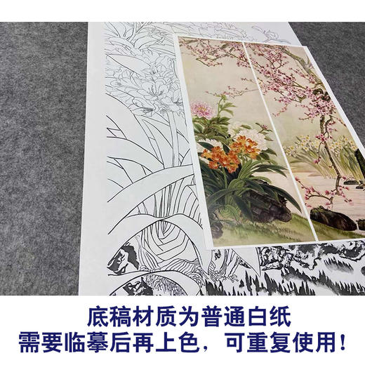 【四条屏】金鸿钧工笔画白描稿花鸟《花香永存》牡丹梅花临摹勾线花鸟线稿TP34 商品图3