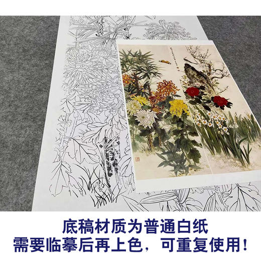 【四条屏】王庆升工笔画白描底稿《百花竞艳》牡丹荷花临摹勾线花鸟线稿TP35 商品图3