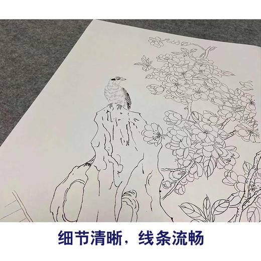 【四条屏】周中耀工笔画白描底稿《春夏秋冬》荷花牡丹临摹勾线花鸟线稿TP32 商品图4