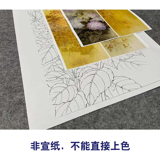 【四条屏】周中耀工笔画白描底稿梅花菊花临摹勾线花鸟线稿TP31 商品图2