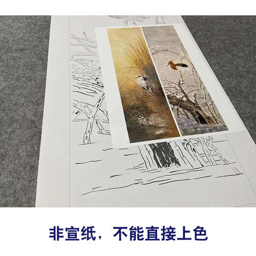 【四条屏】工笔画白描底稿荷花苍鹭临摹勾线花鸟线稿TP06 商品图2
