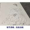 【四条屏】于非闇工笔画白描底稿《四季花鸟图》荷花牡丹临摹勾线花鸟线稿YF90 商品缩略图4