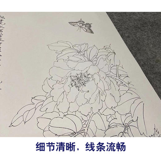 【四条屏】于非闇工笔画白描底稿《四季花鸟图》荷花牡丹临摹勾线花鸟线稿YF90 商品图4