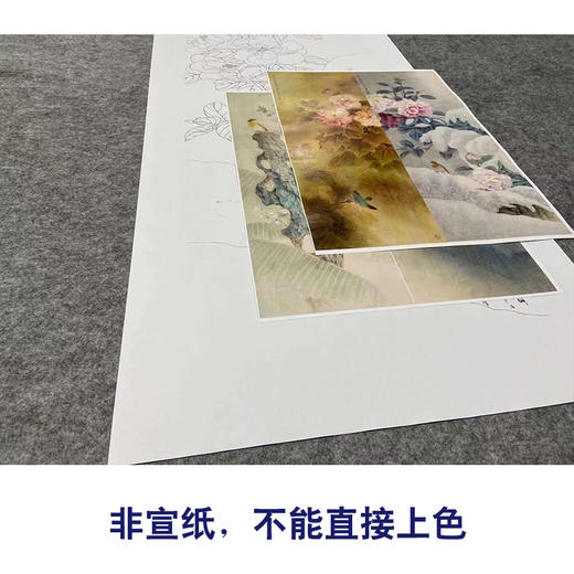 【四条屏】周中耀工笔画白描底稿《春夏秋冬》荷花牡丹临摹勾线花鸟线稿TP32 商品图2
