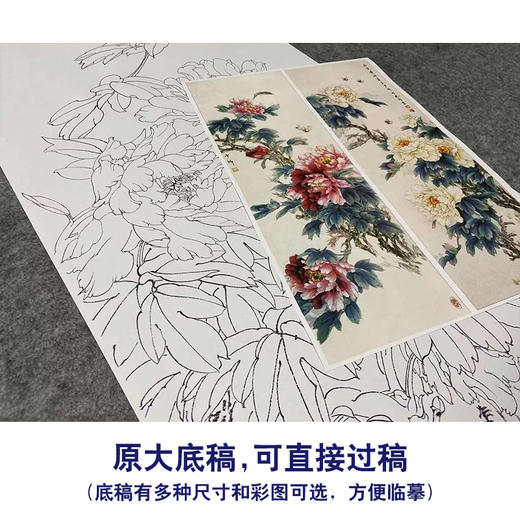 【四条屏】王少卿工笔画白描底稿牡丹蝴蝶临摹勾线花鸟线稿WK18 商品图1