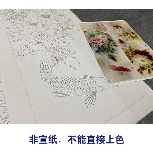 【四条屏】龚雪青工笔画白描底稿《富贵有余》鲤鱼临摹勾线花鸟线稿XQ71 商品图2