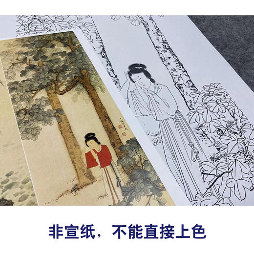 【四条屏】陈少梅工笔传统仕女人物画白描底稿临摹勾线高清打印稿TP39 商品图2